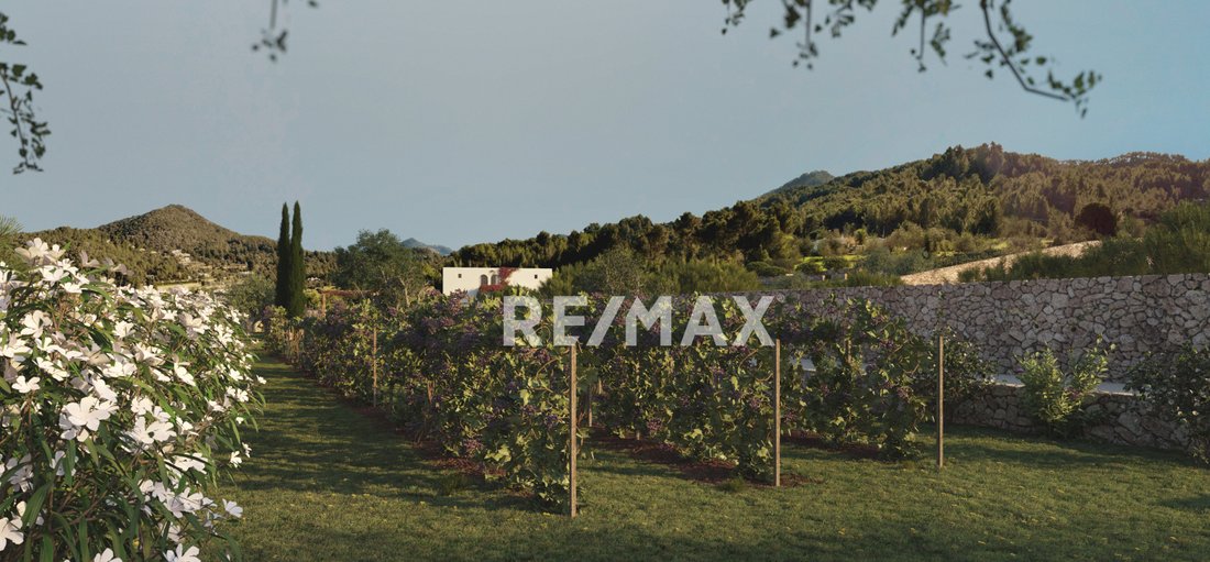 House in Santa Eularia des Riu, Balearic Islands, Spain 4 - 18125763