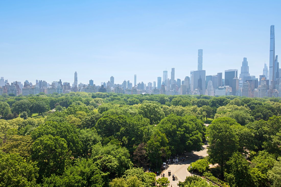 Cooperativa a New York, New York, Stati Uniti 4 - 18125662