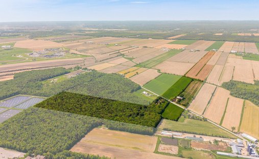 Corps de ferme à Sainte-Anne-des-Plaines, Québec, Canada 1