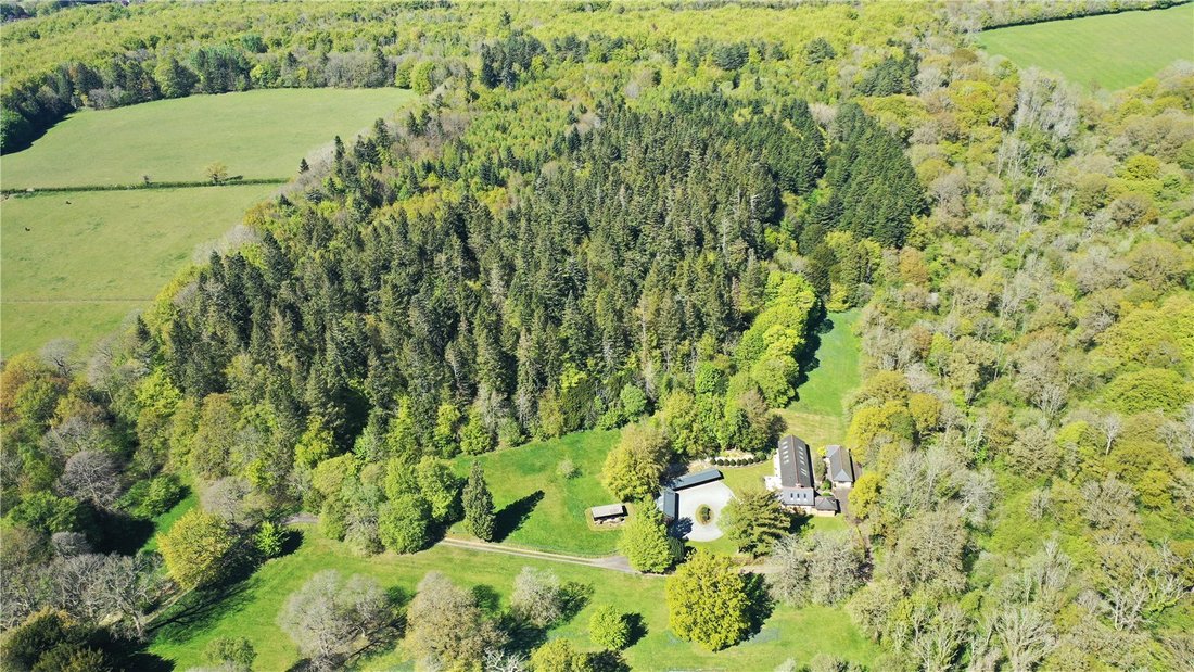 House in Effingham, England 5 - 18125892