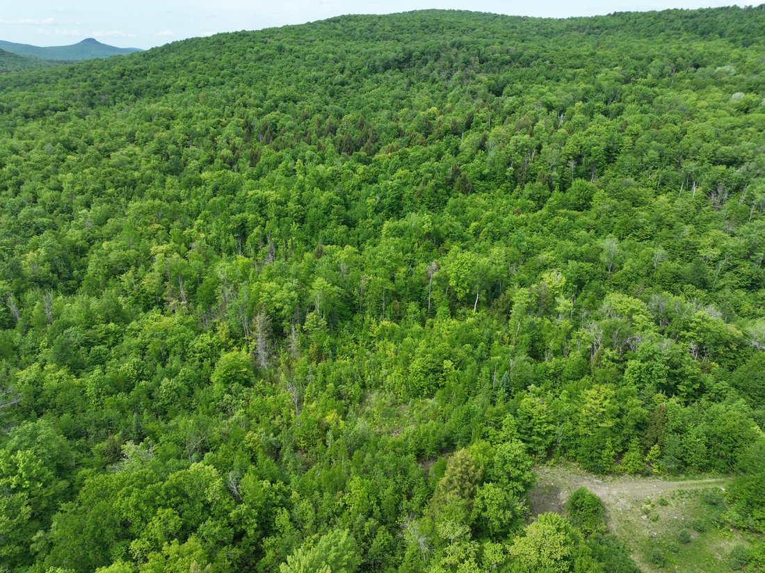 Land in Groton, Vermont, United States 3 - 18125727