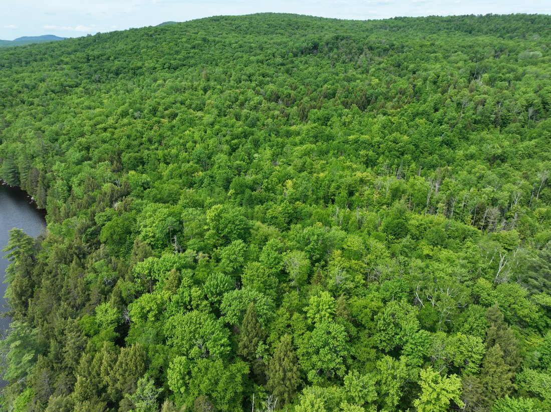 Land in Groton, Vermont, United States 1 - 18125727