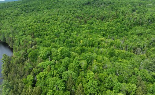 Land in Groton, Vermont, United States 1