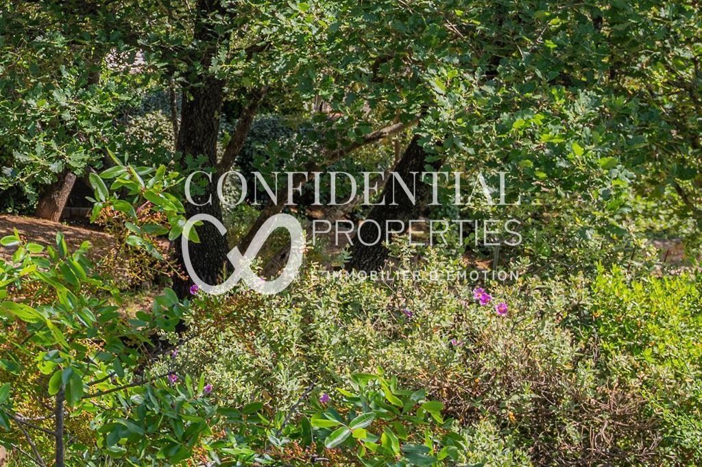 Estate in Callas, Provence-Alpes-Côte d'Azur, France 4 - 18125998