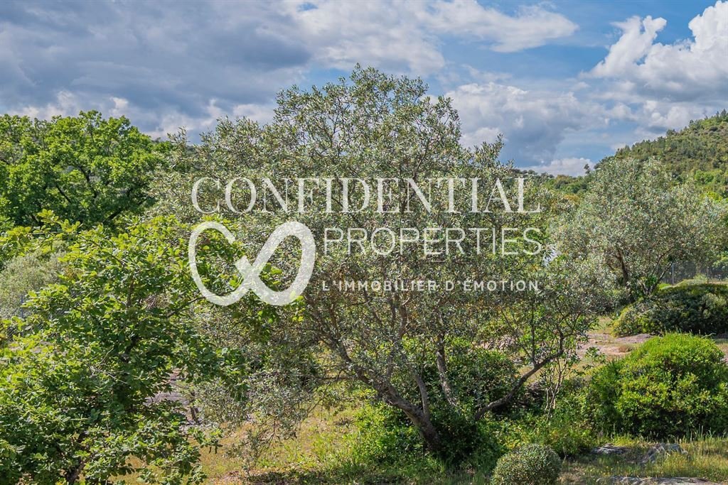 Estate in Callas, Provence-Alpes-Côte d'Azur, France 2 - 18125998