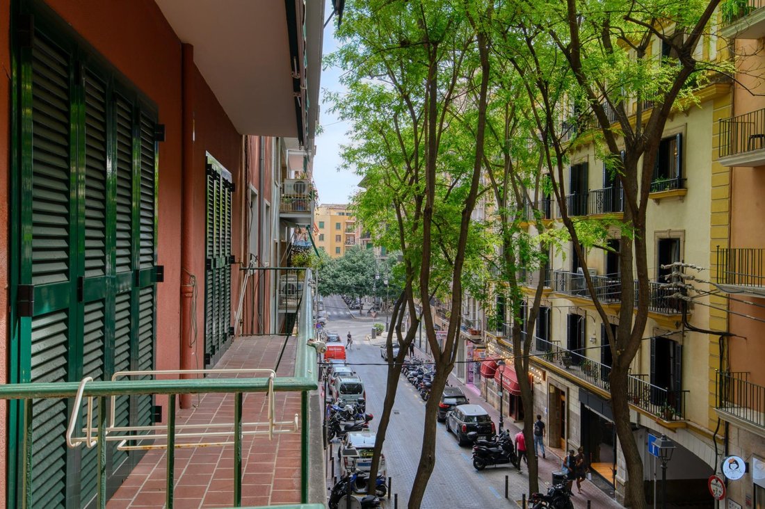 Apartment in Palma, Balearic Islands, Spain 5 - 18126077