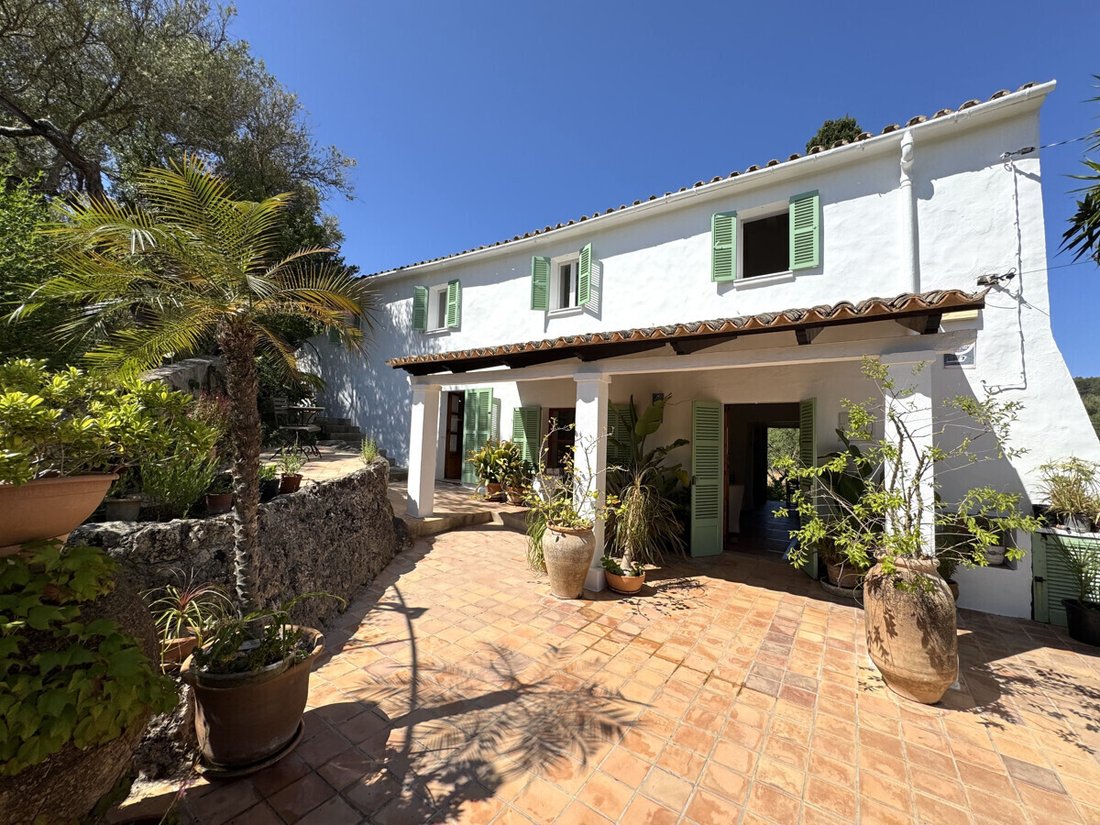 Finca in s'Arraco, Andratx, Balearic Islands 4 - 18126106