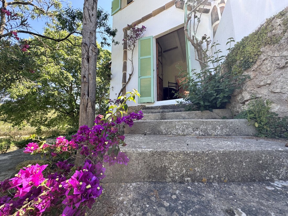 Finca in s'Arraco, Andratx, Balearic Islands 5 - 18126106