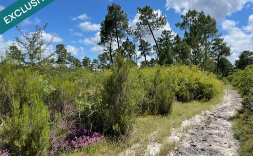 Land in Cazaux, La Teste-de-Buch, France 1