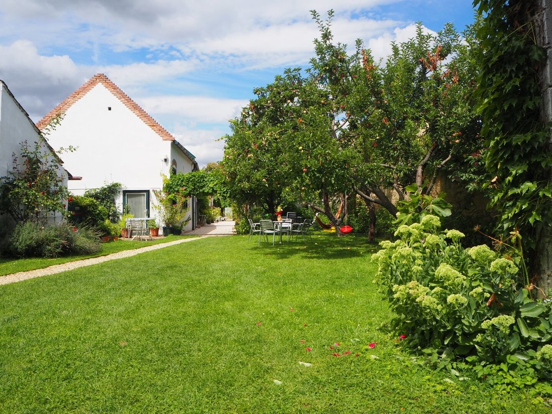 House in Weiden am See, Burgenland, Austria 5 - 18126342