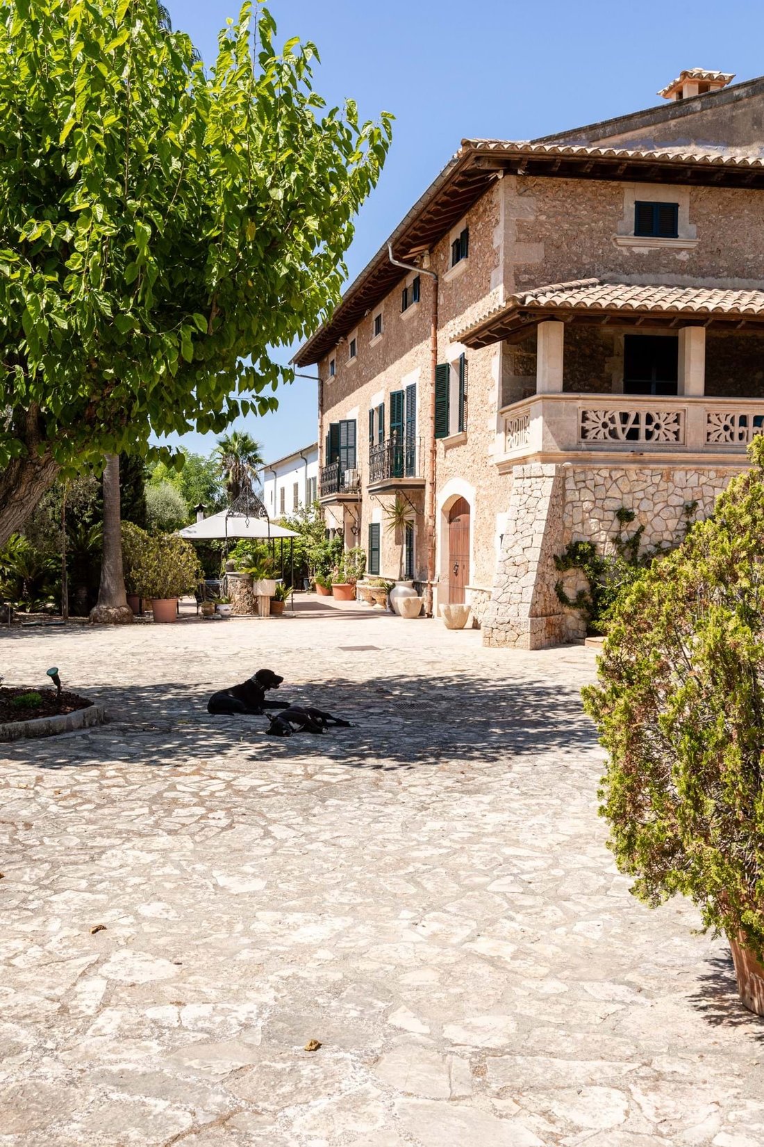 Villa in Santa Maria del Cami, Balearic Islands, Spain 5 - 18126749