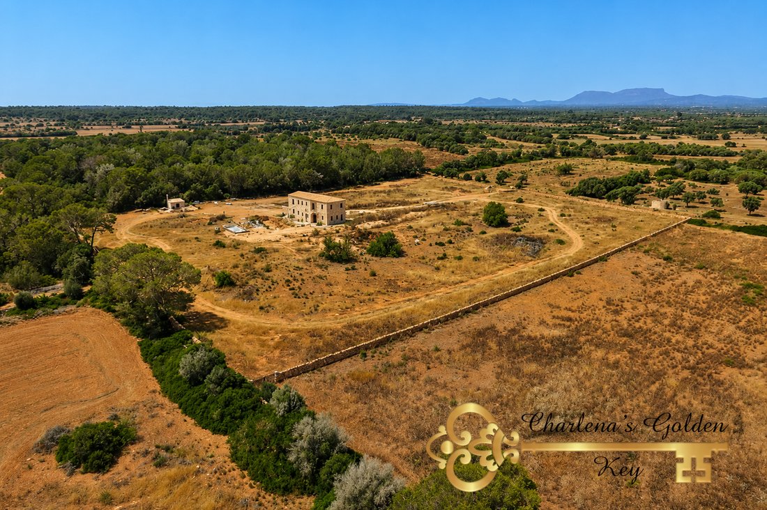 Finca in Campos, Balearic Islands, Spain 4 - 18089128