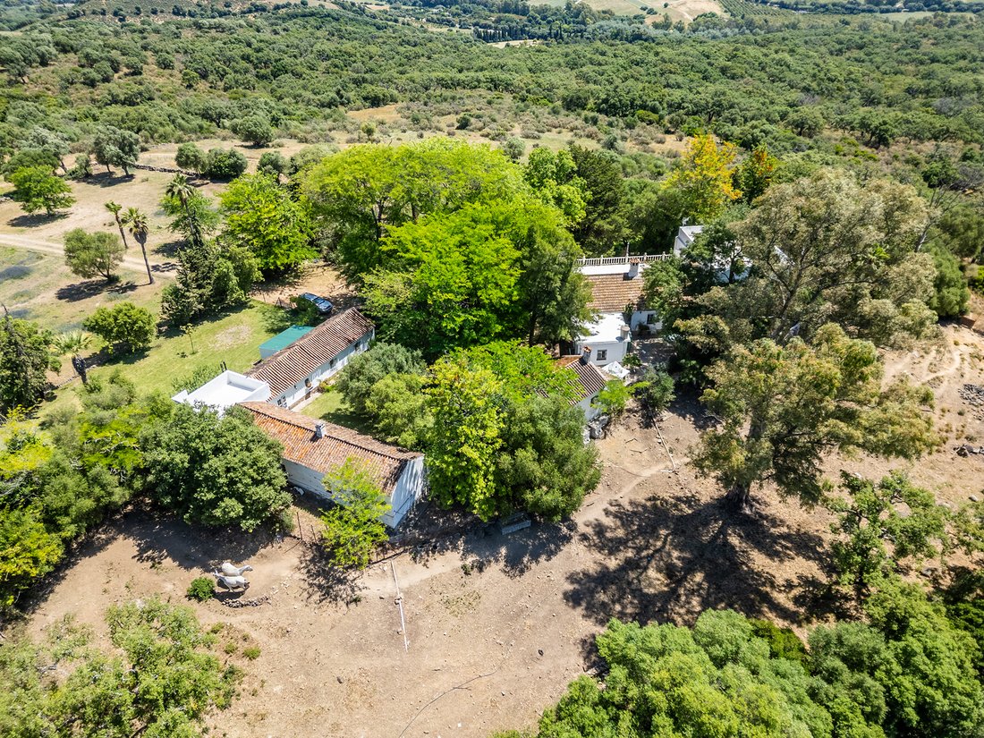 Finca in Jimena de la Frontera, Andalusia, Spain 2 - 18126990