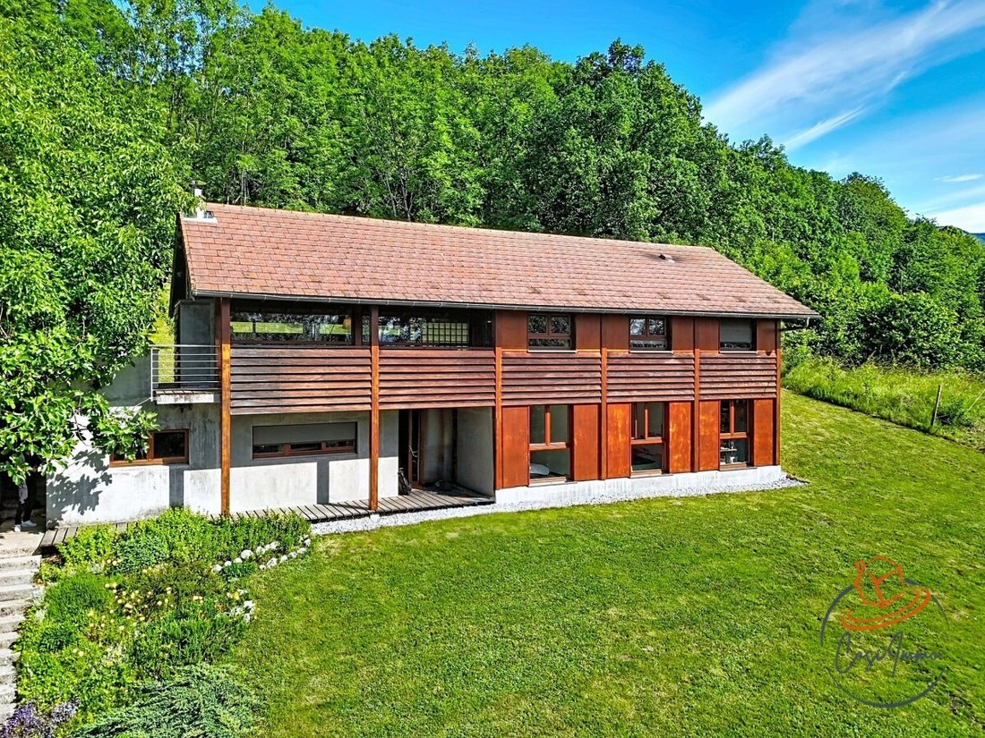 Villa in Saint-Jean-de-Gonville, Auvergne-Rhône-Alpes, France 1 - 18132317