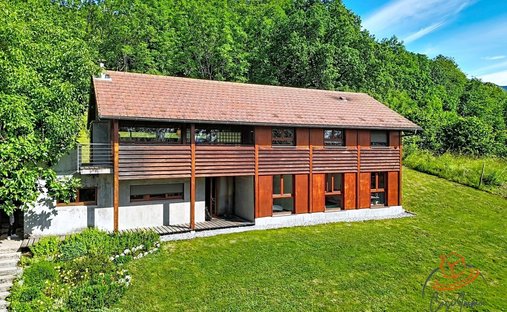 Villa in Saint-Jean-de-Gonville, Auvergne-Rhône-Alpes, France 1