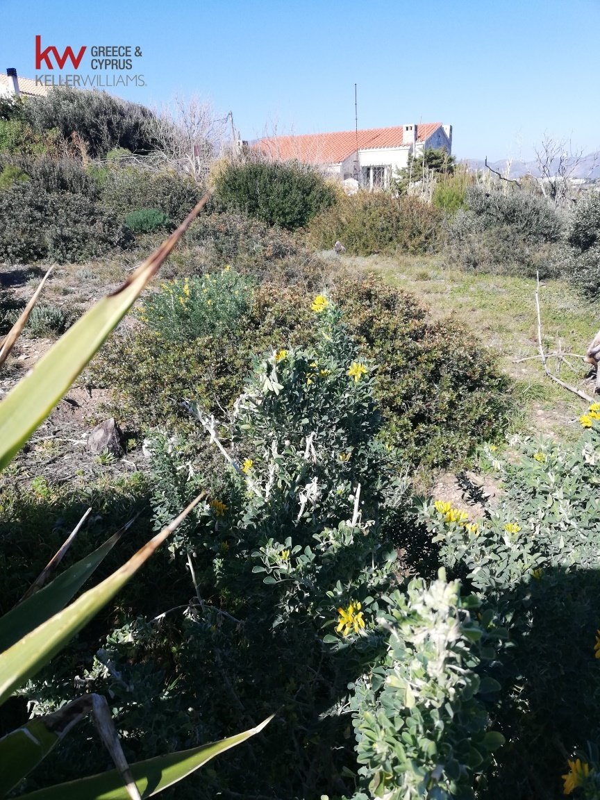 Land in Rafina, Attica, Greece 4 - 18128752
