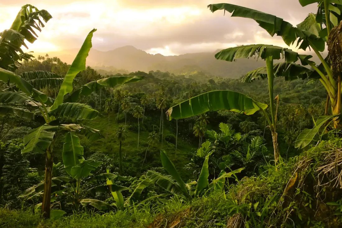 Land in Byera Hill, Charlotte, Saint Vincent and the Grenadines 4 - 18127662