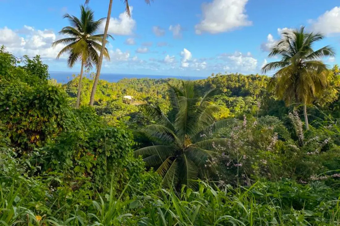 Land in Byera Hill, Charlotte, Saint Vincent and the Grenadines 3 - 18127662