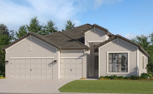 House in Bradenton, Florida, United States 1
