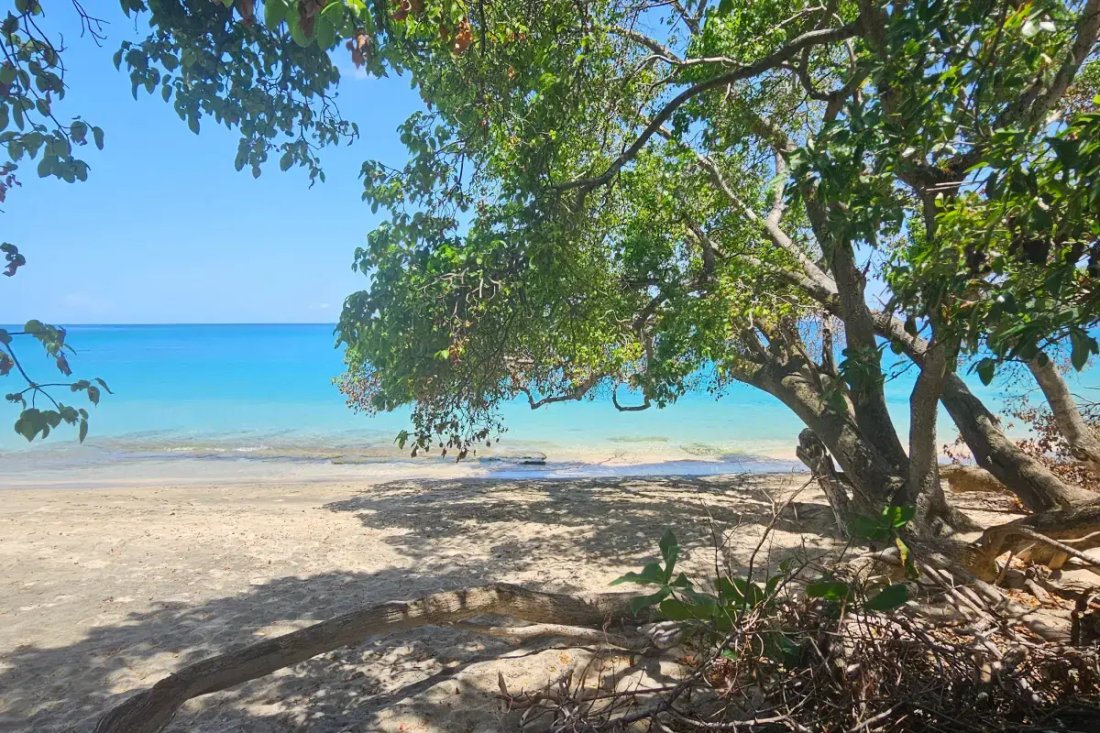 House in Lower Bay, Grenadines, Saint Vincent and the Grenadines 5 - 18127632