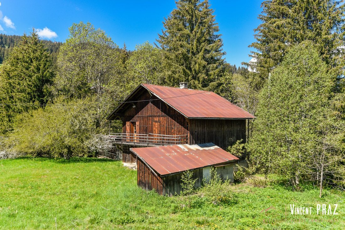 House in Megève, Auvergne-Rhône-Alpes, France 5 - 17010614