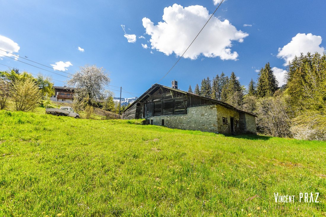 House in Megève, Auvergne-Rhône-Alpes, France 4 - 17010614