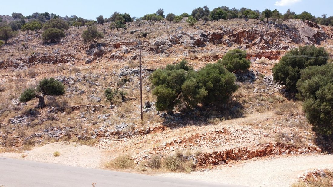 Land in Elios-Proni, Peloponnese, Western Greece and the Ionian, Greece 5 - 14951899