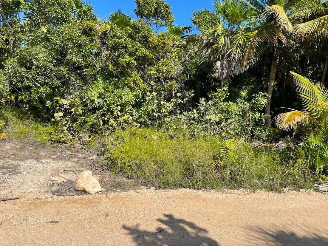 Land in Zamach, Quintana Roo, Mexico 3 - 18131071