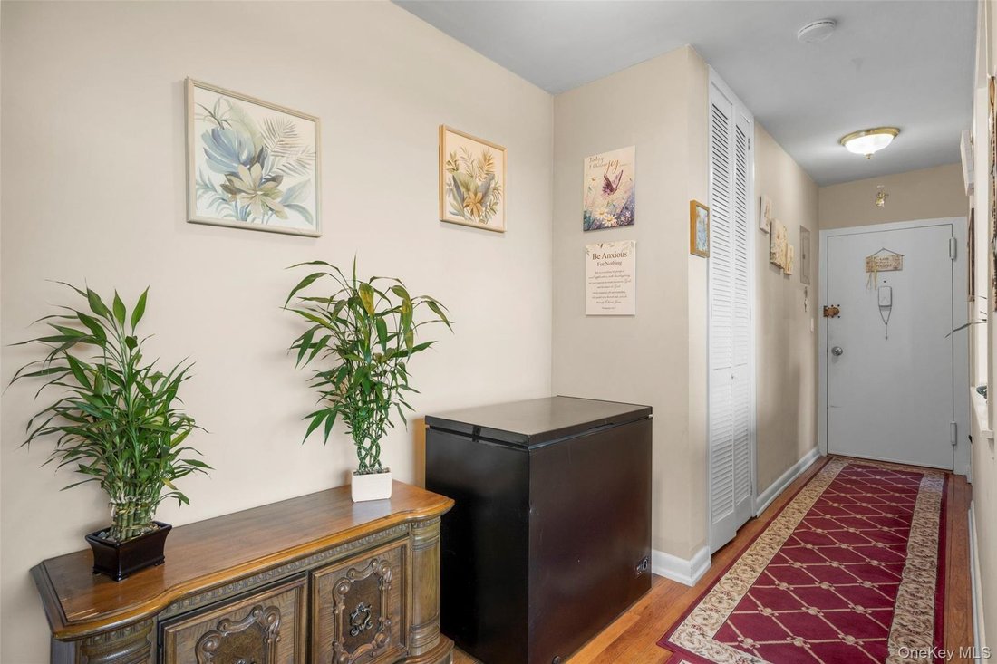 Co Op in Eastchester, New York, United States 4 - 18070173