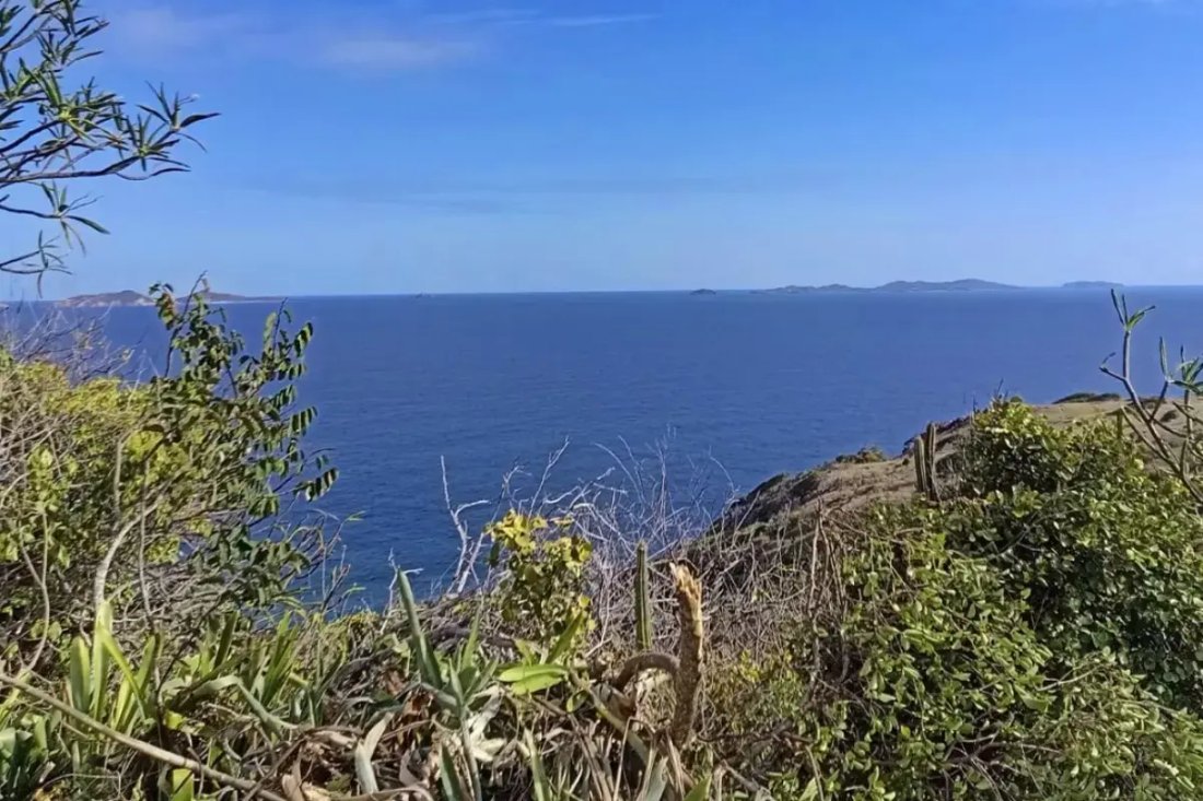 Land in Mount Pleasant, Saint Vincent and the Grenadines 1 - 18127660