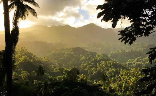 Land in Byera Hill, Charlotte, Saint Vincent and the Grenadines 1