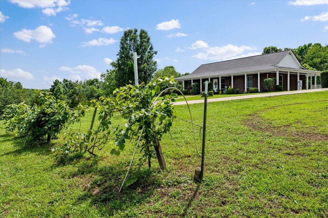 House in Hohenwald, Tennessee, United States 3 - 18132319