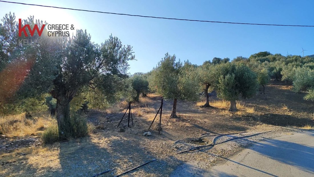 Land in Sphaeria, Attica, Greece 4 - 18129953