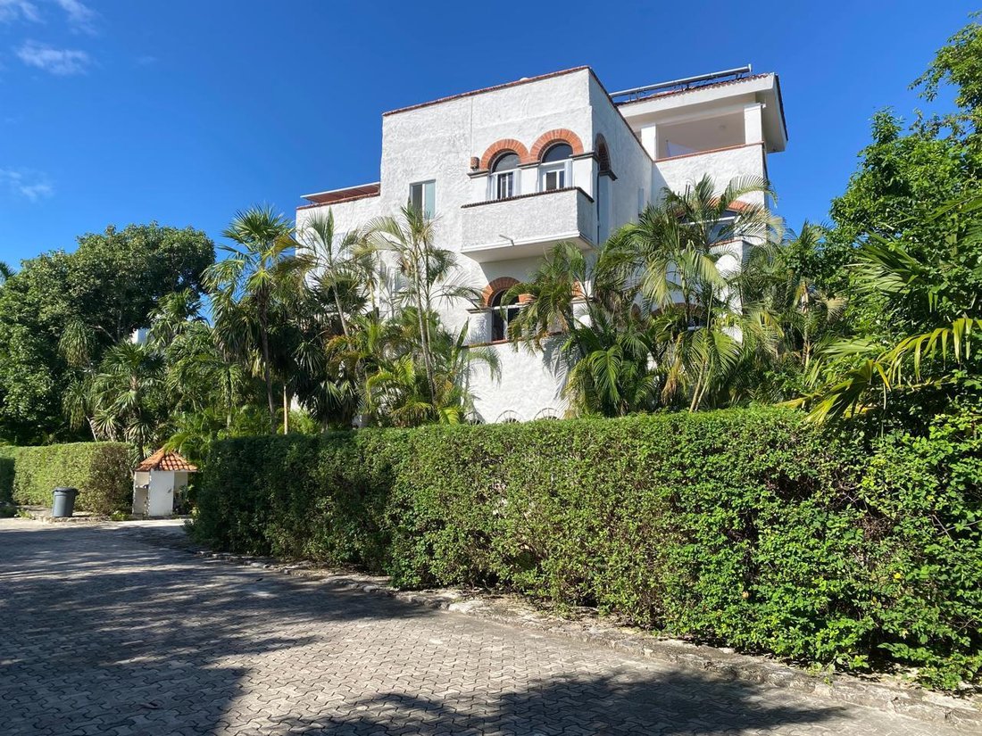 House in Playa del Carmen, Quintana Roo, Mexico 3 - 18131075