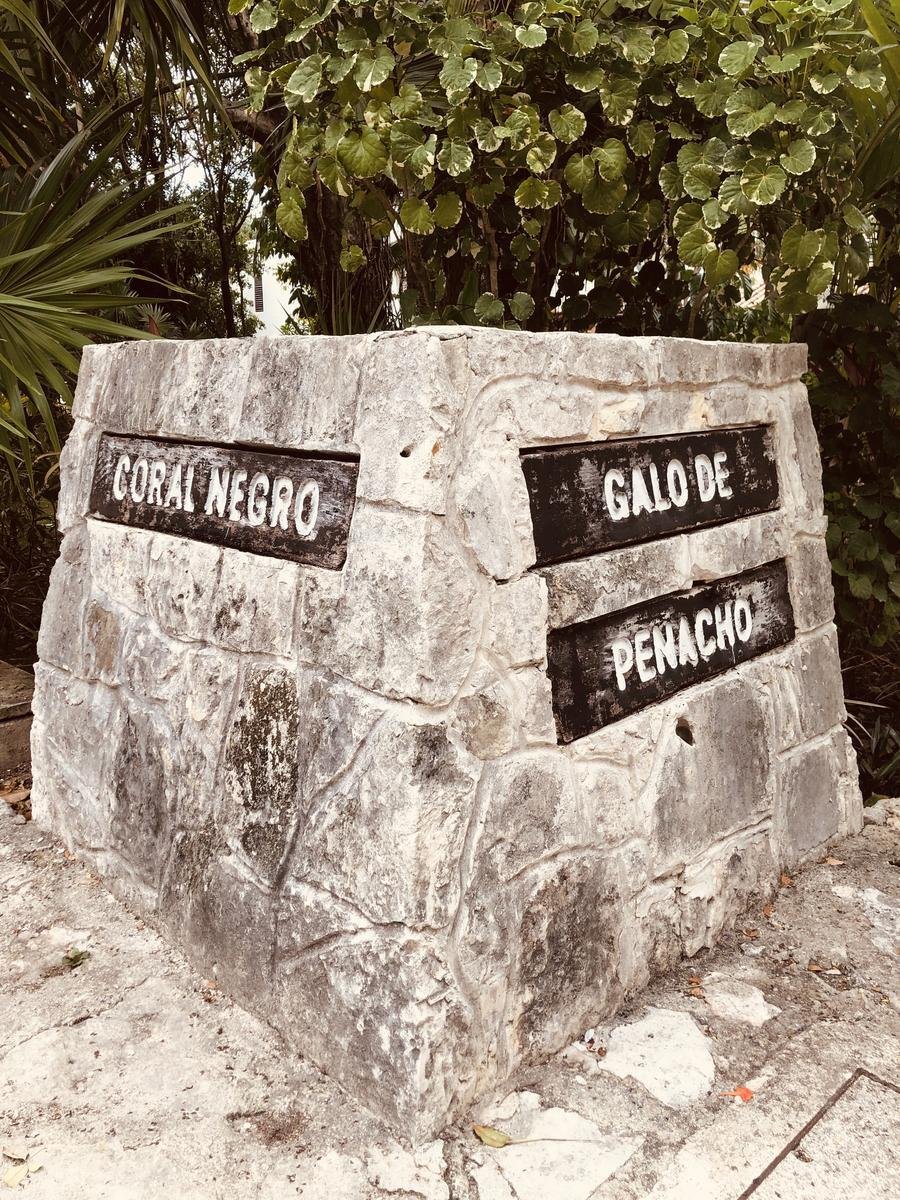 House in Playa del Carmen, Quintana Roo, Mexico 4 - 18131075