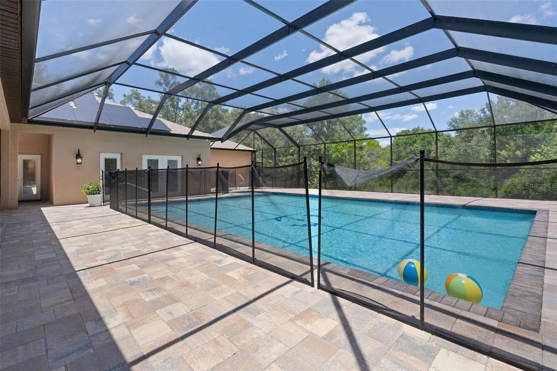 House in Spring Hill, Florida, United States 3 - 18131805