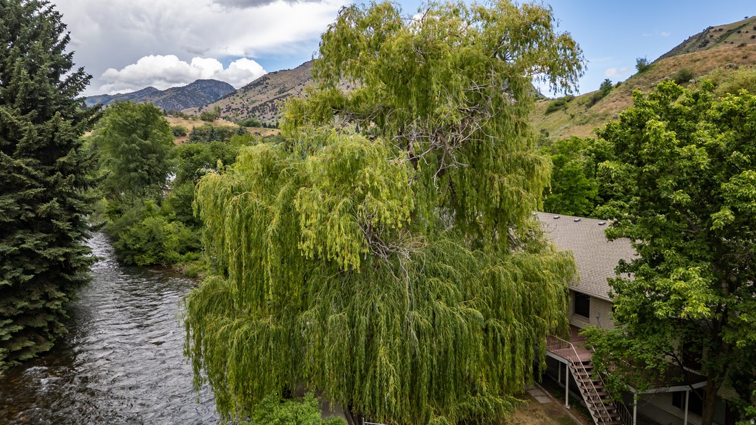 House in Logan, Utah, United States 4 - 18030978