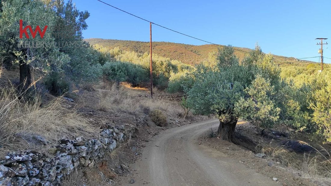 Land in Sphaeria, Attica, Greece 5 - 18129953