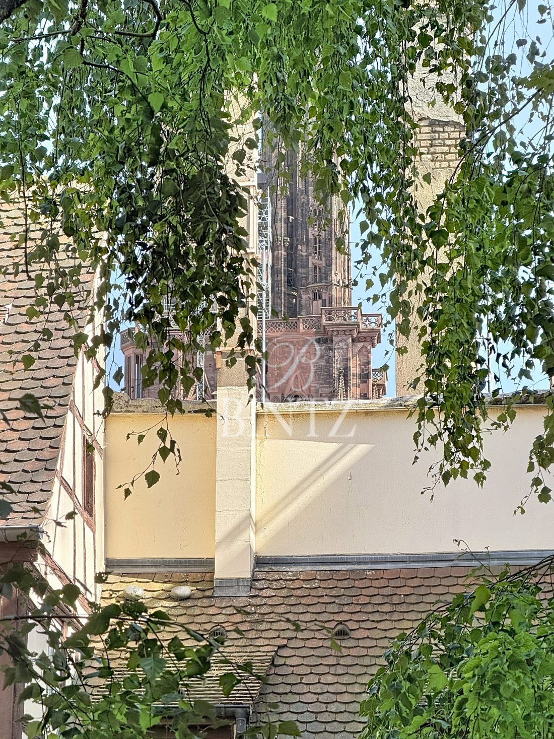 Apartment in Poincare Est, Strasbourg, France 5 - 18138719