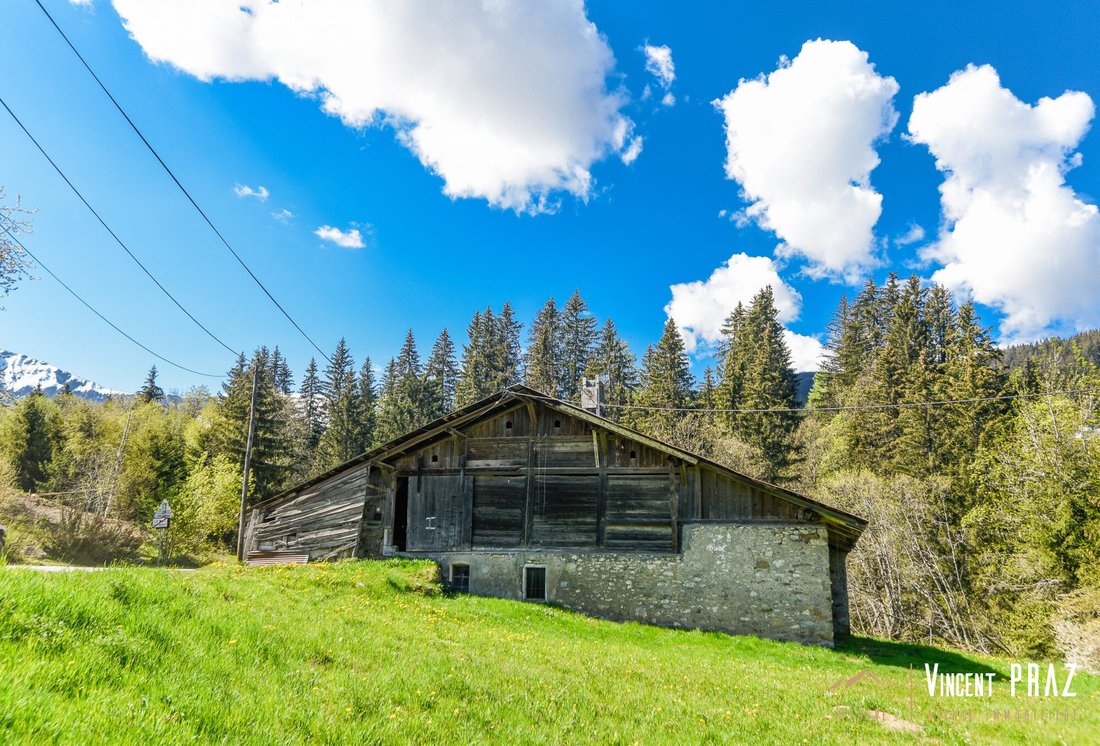 House in Megève, Auvergne-Rhône-Alpes, France 1 - 17010614