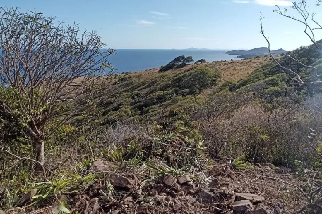 Land in Mount Pleasant, Saint Vincent and the Grenadines 2 - 18127660