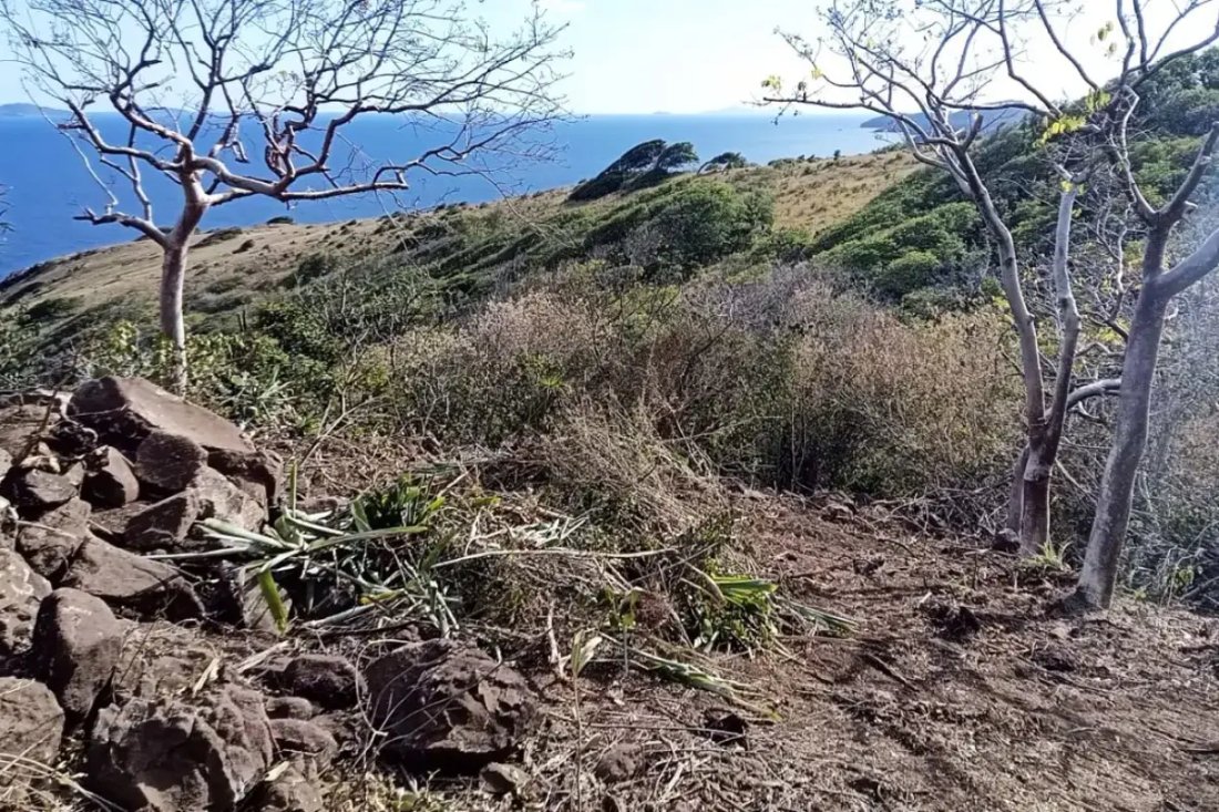 Land in Mount Pleasant, Saint Vincent and the Grenadines 4 - 18127660