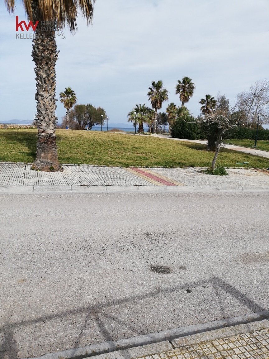 Land in Rafina, Attica, Greece 4 - 18128765