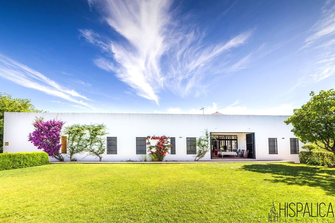 Villa in Cazalla de la Sierra, Andalusia, Spain 3 - 18128034