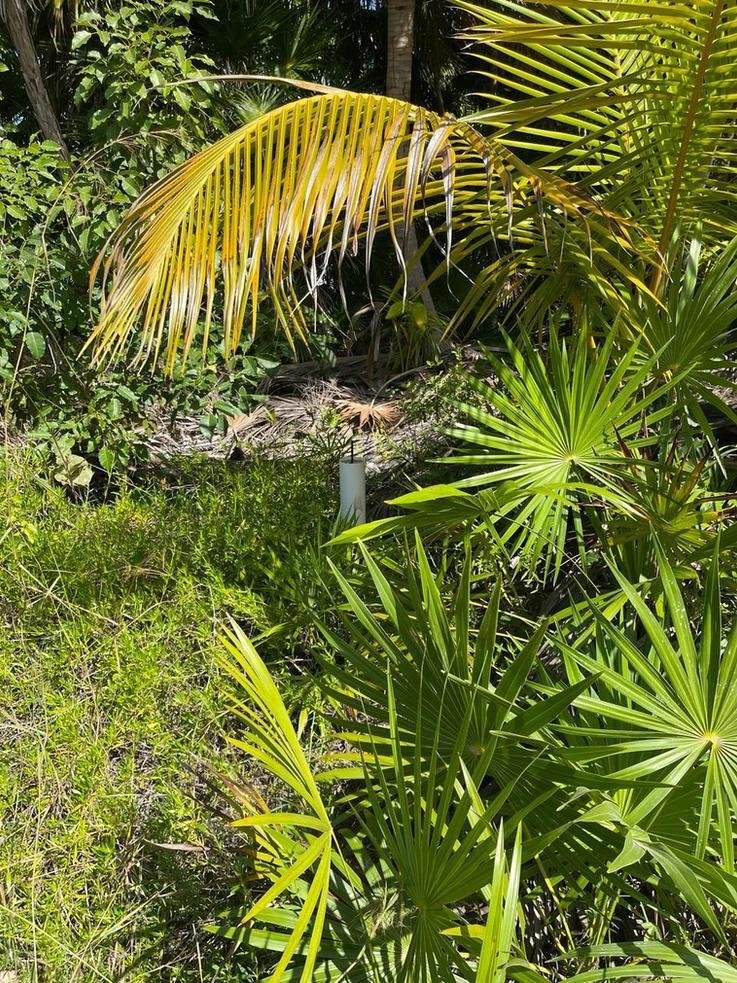 Land in Zamach, Quintana Roo, Mexico 4 - 18131071