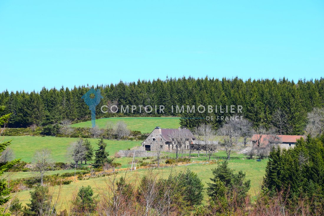 Castle in Saint-Cirgues-en-Montagne, Auvergne-Rhône-Alpes, France 1 - 18133361