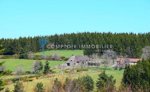 Castle in Coucouron, Auvergne-Rhône-Alpes, France 1