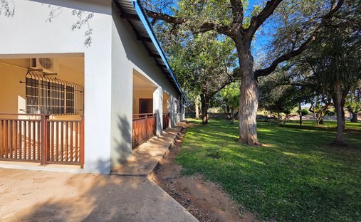 Farm Ranch in Alldays, Limpopo, South Africa 1