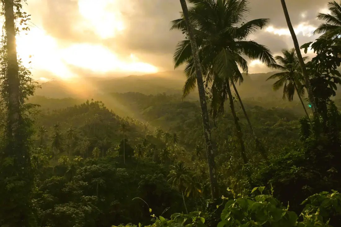 Land in Byera Hill, Charlotte, Saint Vincent and the Grenadines 5 - 18127662
