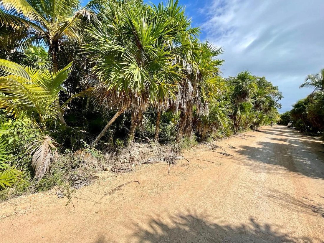 Land in Punta Allen, Quintana Roo, Mexico 2 - 18131072
